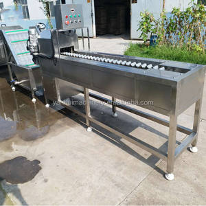 Mini Cortadora automática de maíz cortador de mazorca congelada para hoteles bomba de 220V como componente central al por mayor - Product Image 6