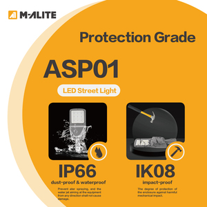 Luminaria LED de Alta Potencia (200Lm por W) con Acceso al Controlador sin Herramientas, IP66, de Aluminio Fundido a Presión, para Carreteras y Vías Principales - Product Image 3