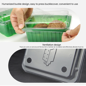 Neuankömmling Great RPET Plastic Box Einweg verpackungs box für Supermärkte Obst Gemüse Lebensmittel behälter - Product Image 4