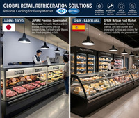 Vitrine Réfrigérée Commerciale pour Supermarché, Écologique, pour Viande Fraîche et Poisson, avec Éclairage LED, Comptoir de Boucher en Acier Inoxydable