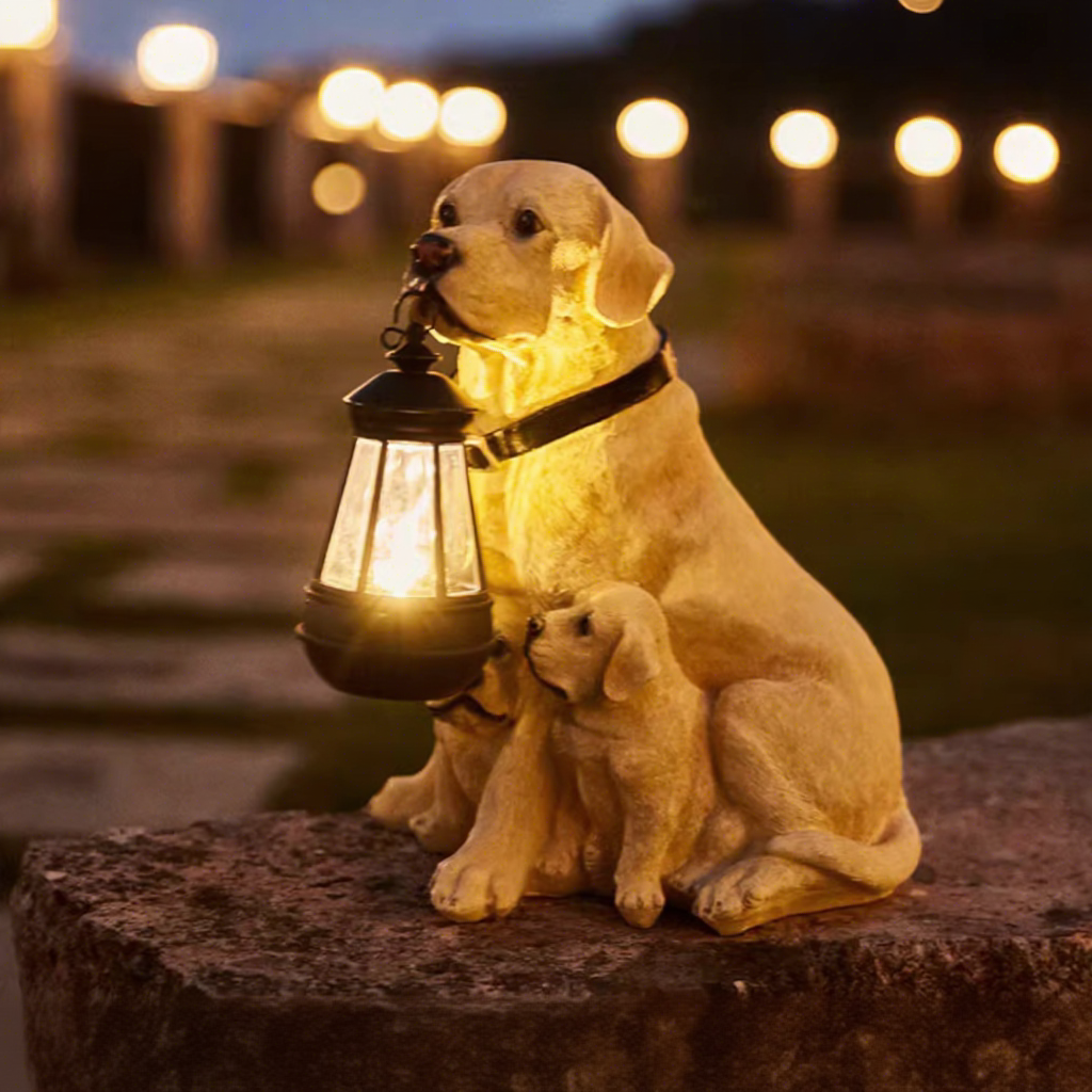Labrador