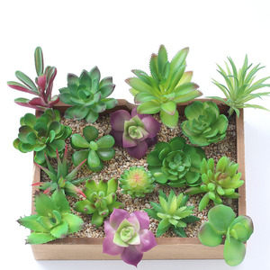 FZZW0032 Prix de gros avantageux pour les arrangements de plantes succulentes artificielles les plus récentes, faux <span class=keywords><strong>mini</strong></span>-cactus succulentes en plastique en gros - Product Image 2