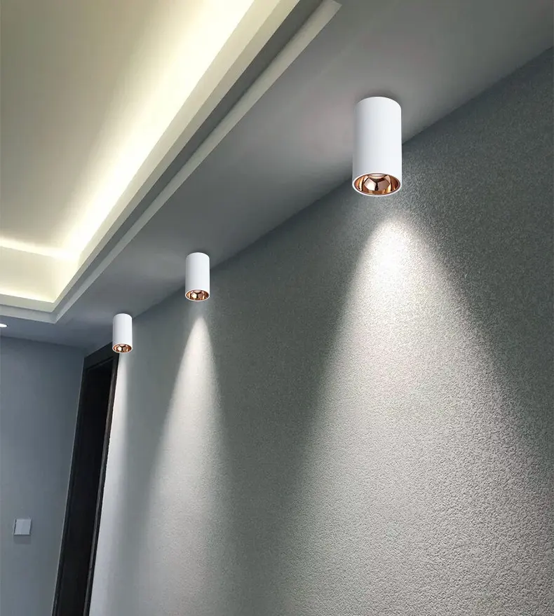 Faretto da incasso antiriflesso tipo a soffitto Non apribile faretto a soffitto a testa singola faretto antiriflesso faretto a Led montato su superficie