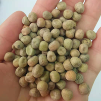 Pois d'érable séchés de qualité supérieure, origine chinoise, pois d'érable pour la germination