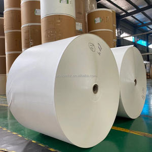Papier PE, rouleau de papier enduit de PE pour gobelets en papier, nouveau produit 2026 - Product Image 4