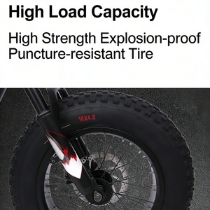 Bicicleta Eléctrica Todoterreno de Alta Potencia para Aventuras Extremas y Montaña, Gran Venta - Product Image 4