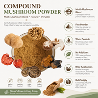 Extrait de Champignons Composés LongBio – Mélange de Poudres Multi-Champignons (Reishi, Crinière de Lion, Chaga, Shiitake, Maitake) pour Boissons – OEM ODM