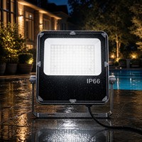Projecteur LED Haute Puissance IP66 Étanche en Aluminium Moulé Sous Pression 180LmW 6000K Garantie 5 Ans Télécommande pour Éclairage d'Entrepôt