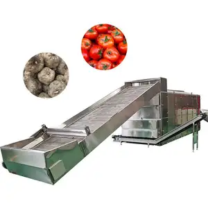Automatic Continuous Herb Onion Ginger Vegetable Garlic Conveyor Dehydrator Mesh Belt Dryer