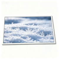 Pantalla LCD M170EG01 VG de 17.0 Pulgadas con Resolución de 1280*1024