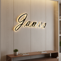 Enseignes extérieures pour vitrines, enseignes de bureau rétroéclairées en acrylique, enseignes LED extérieures pour vitrines, lettres en acrylique pour signalétique