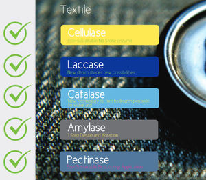 Cleaning Chemicals Being Used to Remove Protein-rich <b>Soils</b> Such As Dairy Products, Cocoa, Blood and <b>Grass</b> - Product Image 4