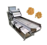 Broyeur d'amandes et machine de découpe d'arachides Broyeur de noix australien 200 KG/H HJ-FJ200