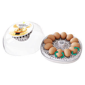 WONEGG Mejor <span class=keywords><strong>Precio</strong></span> Control Automático de Temperatura Incubadora Casera Pollo Incubadora de Huevos Comercial - Product Image 4