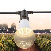 Étanche E27 E26 LED élèvent la lumière guirlande A80 ampoule extérieur spectre de croissance des plantes lumière d'inondation pour la culture de fruits et de plantes