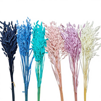 Petite herbe de l'espoir, fleur préservée, matériau naturel frais pour les bouquets ménagers et les articles de décoration intérieure