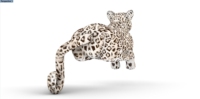 Léopard modèle publicité événements gonflable réplique guépard mascotte animal pour la décoration