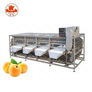 Con Función de limpieza de cepillo Máquina clasificadora de ajo - Product Image 1