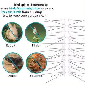 Vente en gros d'une nouvelle combinaison de contrôle des oiseaux Base en plastique Pic à oiseaux en acier inoxydable - Product Image 2