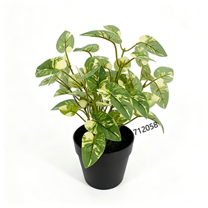 <span class=keywords><strong>ต้น</strong></span><span class=keywords><strong>บอน</strong></span>ไซขนาดเล็ก ใบคาลาเดียมหลากสีสันเสมือนจริง <span class=keywords><strong>สี</strong></span>ขาวเขียวในกระถาง<span class=keywords><strong>สี</strong></span><span class=keywords><strong>ดำ</strong></span> สำหรับห้องน้ำและห้องครัว - Product Image 2