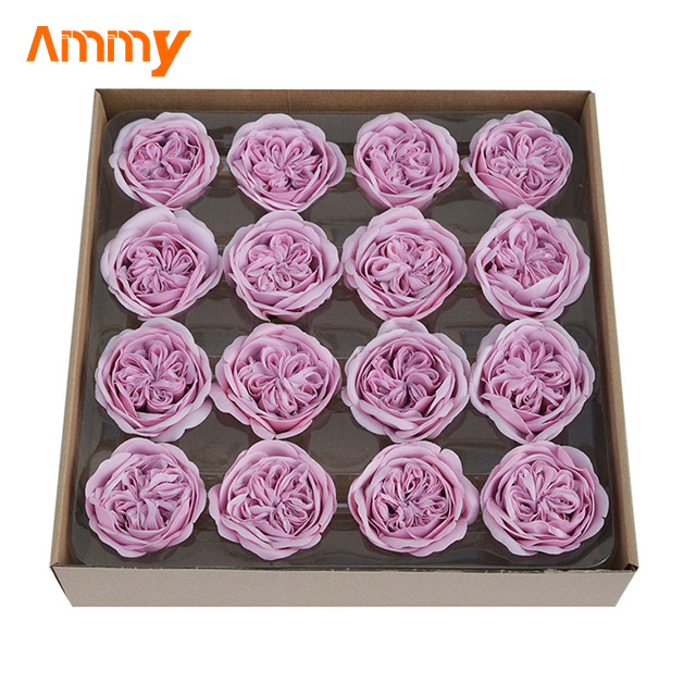 Rose lotus (16p/boîte)