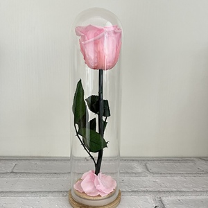 Flor preservada Cúpula <span class=keywords><strong>de</strong></span> <span class=keywords><strong>cristal</strong></span> Eternal Single Rose Forever Roses para regalo <span class=keywords><strong>de</strong></span> San Valentín - Product Image 3