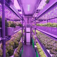Conception cubique de 40 pieds de haut avec irrigation à pompe et fertigation automatique Idéal pour la culture commerciale de légumes en intérieur