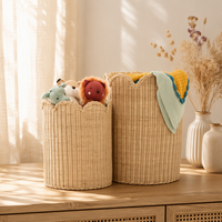 Panier de rangement en rotin tressé à la main, respectueux de l'environnement, en forme d'éventail, vente en gros, boîte de rangement décorative