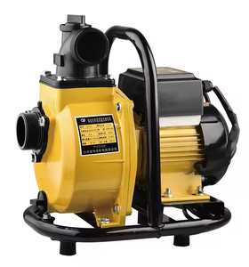 2 אינץ 'זרימה גדולה 48v 900w ממשאבת משטח שמש גבוהה למשטח השקיה חקלאית dc סולרי עצמי - Product Image 1