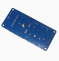 Carte amplificateur de puissance numérique IRS2092S module amplificateur audio classe D haute puissance 500W