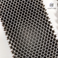 Grille en nid d'abeille en acier inoxydable chinois 304/316, résistante au feu et à l'eau, écologique, taille personnalisée pour une utilisation en cuisine
