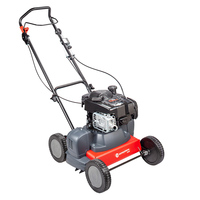 EUROSYSTEMS Scarifier Machine Sc42 Briggs & Stratton Engine OHV Floating Knives Multifunctional Handcart Tondeuses à gazon