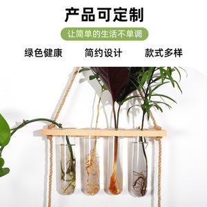 Seeking Excellence Wall Mounted Hydroponic Plant Holder Wooden Rack With Glass Test Tubes For Indoor Green Decor - Product Image 3