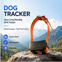 Cobertura Global GPS GSM 2G en Tiempo Real, Resistente al Agua, Almacenamiento en la Nube para PC, Historial de 180 Días, Certificado CE FCC RoHS, Compatible con API Personalizada