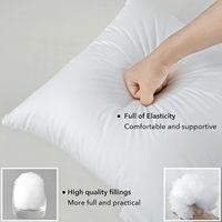 Coussin décoratif 100% polyester, insert 18x18, lot de 2, housse en polyester douce et respirante, pour canapé, lit, maison, hôtel