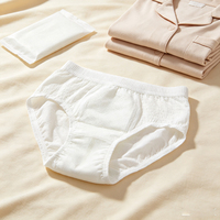 Culottes Menstruelles Jetables Anti-Fuites avec Bande Magique pour Femmes
