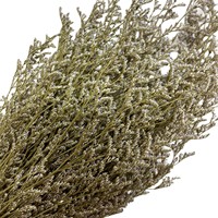 Bouquet de fleurs éternelles pour décoration intérieure, arrangements floraux et projets de bricolage, avec de véritables fleurs séchées
