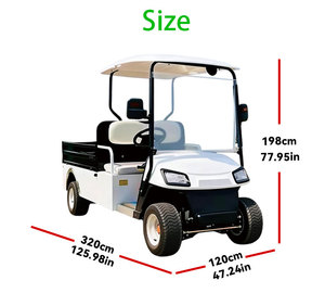 Voiturette de <span class=keywords><strong>golf</strong></span> électrique à cadre en acier, haute performance, 2 places, moteur asynchrone AC 3,<span class=keywords><strong>5</strong></span> kW, batterie 60 V, autonomie 90 km pour une conduite stable - Product Image 2