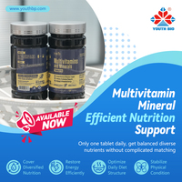 Comprimés de Multivitamines et Minéraux en Gros avec Vitamine C et Zinc pour un Bien-être Quotidien Complet pour Hommes et Femmes – En Stock, 120 Comprimés