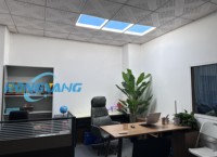 Panneau de lumière LED personnalisé pour plafond, lumière artificielle, lumière du soleil artificiel, 36 mm, ultra fin, WiFi APP