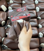 Jouet Squishy en Mousse PU à Remontée Lente en Forme de Chocolat Brut Hachimi Lava, Jouet Anti-Stress à Presser, Vente en Gros