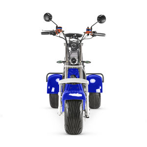 Nouvelle Arrivée Tricycle Électrique Sans Balais 4000W Scooter Électrique EEC Tricycle Électrique Largement Utilisé Scooter à Trois Roues - Product Image 3