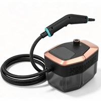 Nettoyeur Vapeur Portable à Haute Température et Pression pour la Nettoyage des Hottes de Cuisine Domestiques, 3 Niveaux Réglables