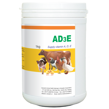 Veterinary GMP certified from Viet Nam Suplement of Vitamin A,D3,E for poultry, livestock, AD3E
