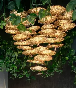 Kupfer Messing Kronleuchter mit Glaskugel Gold Farbe Vintage Loft Küche Ess lampe Kronleuchter