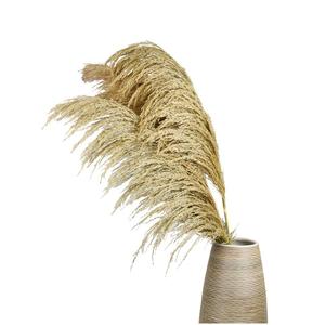 Plantas Artificiales Creativas al por Mayor, de Gran Tamaño, <span class=keywords><strong>Flores</strong></span> Secas, Vegetación, Lindas, Casi Naturales, en Maceta, Simulación de Cañas - Product Image 5