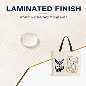 Bolsa de Regalo Promocional de Tamaño Mediano, Diseño Personalizado, Tela Laminada, Impresión a Todo Color, Bolsa de Mano con Asa, Bolsa de Tela Tejida de Polipropileno - Product Image 3