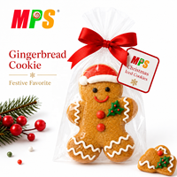 Biscuits décorés de Noël Bonhomme de pain d'épice Biscuits croustillants sucrés