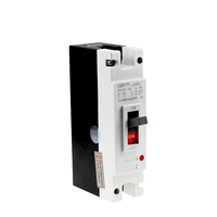 Disjoncteur Bipolaire Boîtier 300 Amp CC Solaire MCCB 250 Ampères pour Batteries