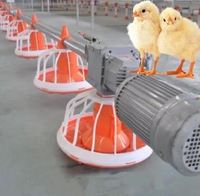 2026 Mangeoire automatique à deux niveaux en PP pour poulets de chair, avec niveaux réglables, pour fermes avicoles